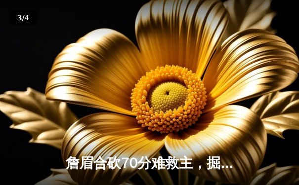 詹眉合砍70分难救主，掘金逆转湖人连续两年挺进季后赛次轮 - 3